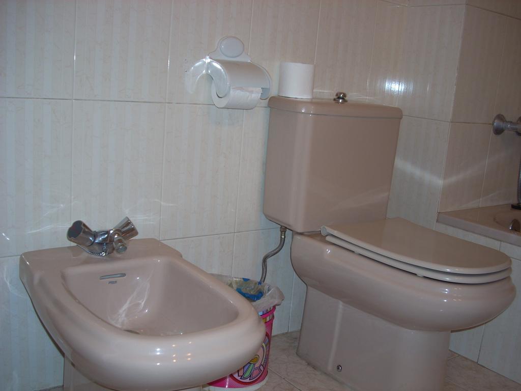 Apartamentos Los Tilos Benasque Extérieur photo